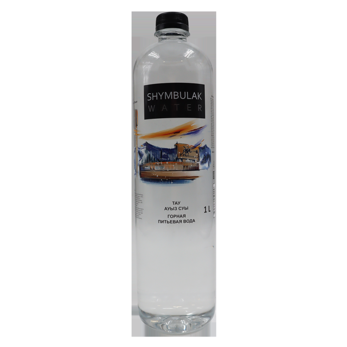 ВОДА SHYMBULAK WATER НЕГАЗ 1Л