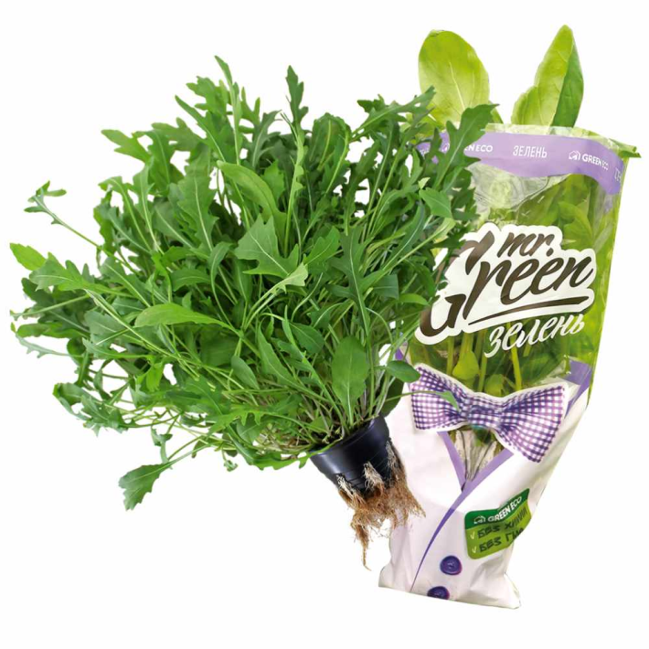 Зелень Green Eco Рукола Дикая 80 г