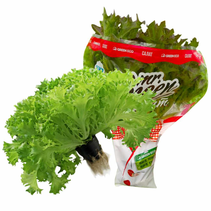 Салат Green Eco Фризе Зеленый 150 г