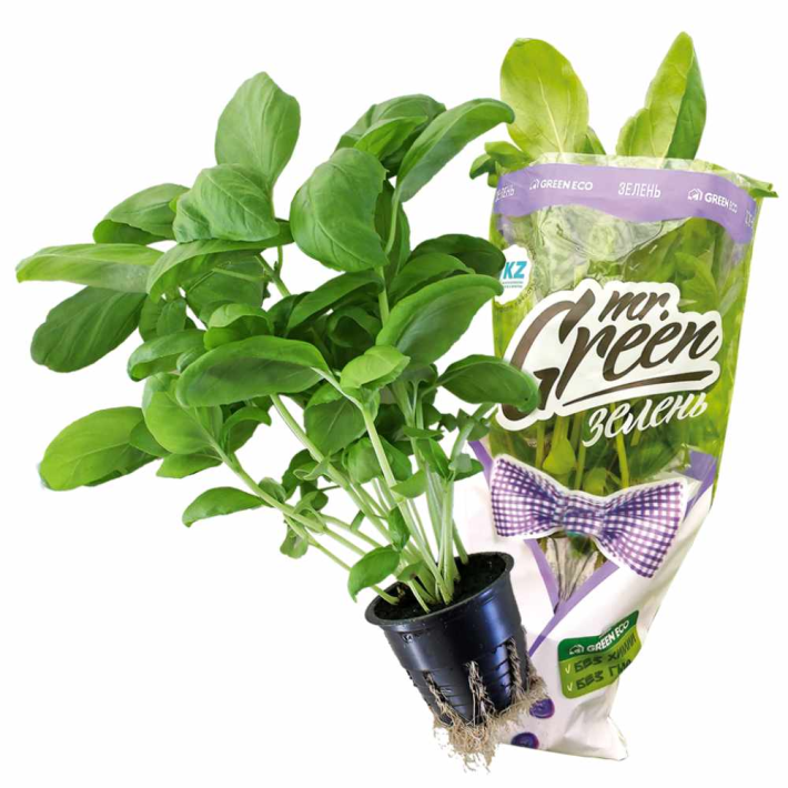 Зелень Green Eco Базилик Зеленый 80 г