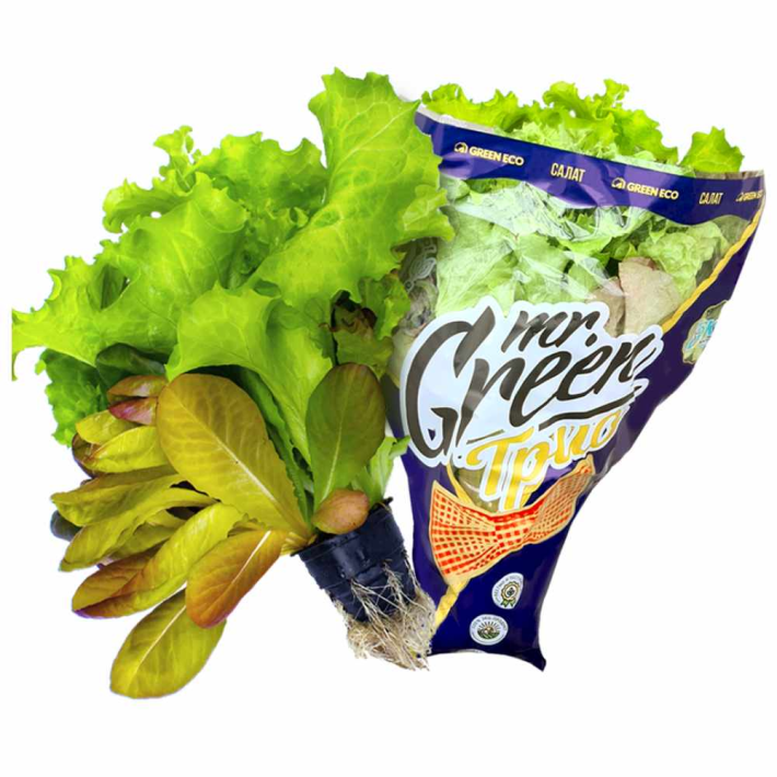 Салат Mr Grеen eco трио 150 г