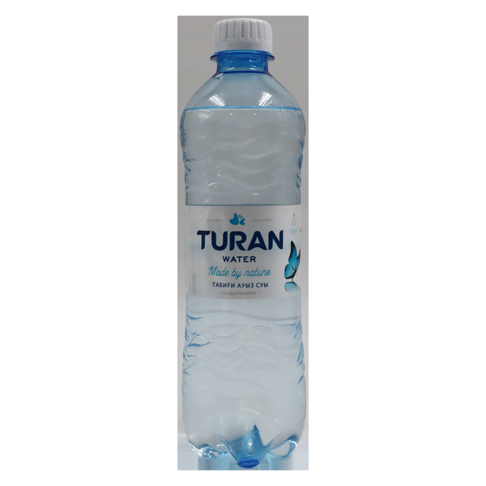 Вода минеральная Turan негазированная 0,5 л